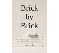 Brick by Brick: A Decade of Conviction in One of the World’s Most Volatile Stocks