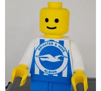 Brick Man Brighton & Hove Albion 20cm- calcio, sport, soccer - 20cm - stampata