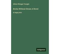 Bricks Without Straw; A Novel: in large print