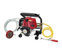 Bricoferr BF854T - 4t sterminatore motore a benzina a spruzzo (0,75 kw)