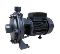 Bricoferr Pompa acqua c/doppia turbina - 1,5 HP, 45 m di sollevamento, 117 l/min