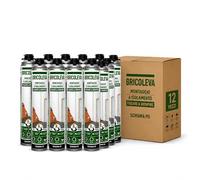 BRICOLEVA Set 12 Schiuma Poliuretanica per Pistola da 750 ml - Isolamento Termico e Acustico, Alta Espansione Colore Champagne - Sigillante Poliuretano Espanso per Riempimento Fessure (12 Pezzi)