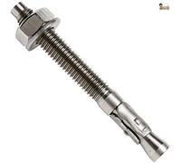 BricoLoco Ancoraggio Maschio Metallico Asta Filettata ad Espansione Inossidabile A-4 Per Alti carichi in calcestruzzo, parete, soffitto, pavimento, trx, tenda (25, 6 x 65)