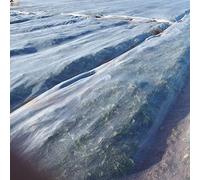 BricoLoco.com Rete antigelo Copre Piante Inverno Alta DurabilitàPolietilene HDPE 38 grs./m2. Coperta termica Proteggi gelo frutteto, alberi, frutteti, tessuto protettivo (4x25 MTS.)
