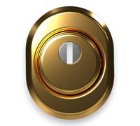 Briconess.com Defender per porte blindate con corpo in acciaio ottone lucido Cipierre 325C - 22x8xH22 mm