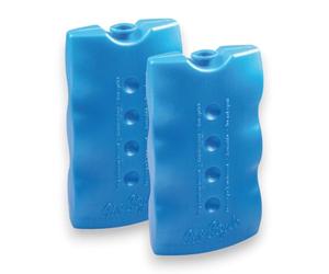 Briconess.com Mattonella ghiaccio 400 gr lunga durata set 2 pezzi GiòStyle