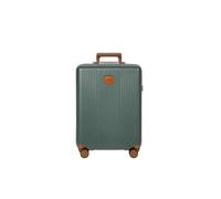 Cabin Trolley Ferrara 005 VERDE