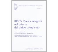 BRICS: Paesi emergenti nel prisma del diritto comparato