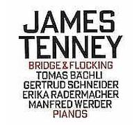 Bridge & Flocking