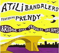 Bridge Over Troubled Dreams