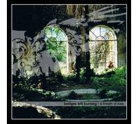 Bridges Left Burning - A Breath Of Loss