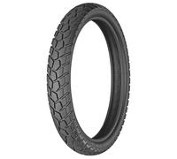 Bridgestone TW101 (100/90 R19 57H)