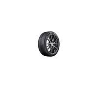 Bridgestone Turanza All Season 6 245/45R20 103W XL MFS BSW M+S 3PMSF