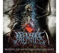 Bridging the Gap Between Mind and Heart