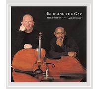 Bridging The Gap - Bridging The Gap