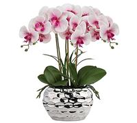 Briful 44 cm orchidea artificiale Phalaenopsis fiori artificiali come vera orchidea decorativa bonsai disposizione in vaso in ceramica per tavolo soggiorno decorazione