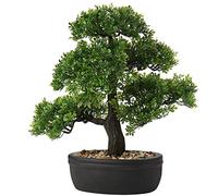 Briful Bonsai artificiale da 35,8 cm, bonsai giapponese, decorazione in vaso, albero di cedro per interni/esterni, casa, ufficio, hotel