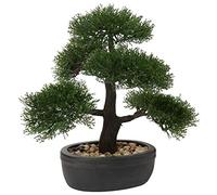 Briful Bonsai artificiale da 35,8 cm, pianta finta di cedro, decorazione per interni, bonsai giapponese in vaso, per casa, ufficio, cucina