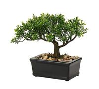 Briful, Bonsai artificiale di ginepro, pianta artificiale per interni, decorazione con vaso in ceramica per casa, tavolo, ufficio, scrivania, bagno, mensola, camera da letto, soggiorno, arredamento in