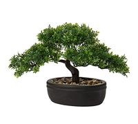 Briful Bonsai artificiale in vaso, 22,9 cm, piante finte, bonsai giapponese, decorazione per interni ed esterni, decorazione per scrivania