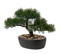 Briful Bonsai artificiale in vaso, 22,9 cm, piante finte, bonsai giapponese, decorazione per interni ed esterni, decorazione per scrivania