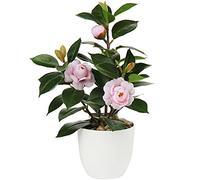 Briful Camelia pianta artificiale finta pianta in vaso fiore di camelia artificiale pianta in vaso per la decorazione di casa ufficio finto verde piante da tavolo camelia bonsai