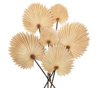 Briful Confezione da 2 steli di foglie di palma artificiali, 6 piante finte marrone chiaro, piante artificiali decorative per centrotavola, composizioni per torte, decorazioni per la casa e la cucina