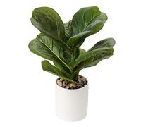 Briful Ficus Artificiale, 31cm Pianta Finta con Vaso, Mini Piante Artificiali da Interno, Moderna Fico Artificiale a Foglia di Violino, per Room Balconi del Soggiorno Moderni Decor