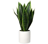 Briful Finta pianta di sansevieria da 40 cm, Pianta artificiale in vaso, sansevieria finta con vaso in ceramica bianca, perfetta per casa, soggiorno moderno, ufficio, regalo di inaugurazione casa