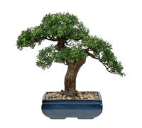Briful Grande albero per bonsai artificiale, 41 cm, podocarpus verde in vaso di ceramica, pianta artificiale facile da pulire, per soggiorno, ufficio e decorazione