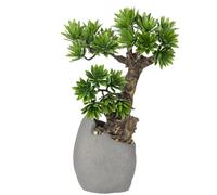 Briful Kunstbonsai Pianta artificiale fedele alla natura Pianta bonsai artificiale con vaso di cemento come se fosse vera per bagno, ufficio, finestra, decorazione, altezza 35 cm