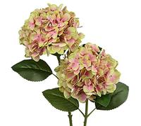 Briful Ortensia Fiori artificiali veri e propri fiori di ortensia alti 63 cm fiori finti autunnali fiori artificiali piante ortensie gambo lungo per giardino, matrimoni, decorazioni per la casa