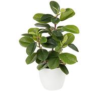 Briful Pianta artificiale di camelia, piante finte in vaso, piante artificiali in vaso per decorazione domestica, 28 cm, piante verdi finte di camelia, bonsai per soggiorno, scaffale, scrivania