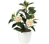 Briful Pianta da appartamento artificiale Camellia Camellia Japonica in vaso di plastica Fiori decorativi in seta Camelia Fiori artificiali per la decorazione della casa e dell'hotel