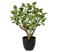 Briful Piante artificiali di ficus alte 43 cm, bonsai artificiali verdi e bianche, pianta finta per interni, piccolo albero di ficus finto per casa, cucina, bagno, decorazione
