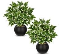 Briful Set di 2 piante artificiali in vaso, piccole piante artificiali, decorazione da interni, edera, in vaso nero, mini piante per soggiorno, ufficio, tavolo (30 cm)