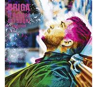 Briga Il Rumore Dei Sogni - Collection (CD)