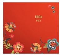 Briga - Wake