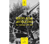 BRIGATA AVELLINO LA VALANGA CHE SALE (RIST AN.... . MAGRIN G (CUR ). 2017. .