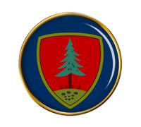 Brigata Meccanizzata Pinerolo (Esercito Italiano) Spilla