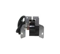 Brigg & Stratton Bobina elettronica 09L, 09S, 09T, 10L, 10T