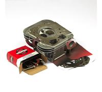 Briggs and Stratton 84001919 Oregon Cylinder Head Chrome