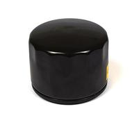 Briggs and Stratton 842921 - Filtro dell'olio