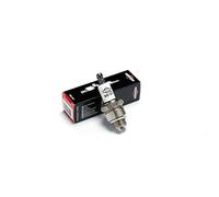 Briggs and Stratton Candela Originale Briggs & Stratton 992300C, Nero, 1 pz