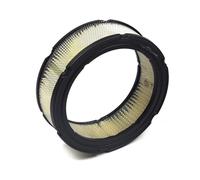Briggs and Stratton Cartuccia Filtro dell’Aria Originale 394018S