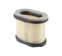 Briggs and Stratton Cartuccia Filtro dell’Aria Originale 697029