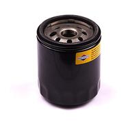 Briggs and Stratton Filtro dell’Olio Originale 491056
