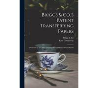 Briggs & Co Kate 1846-1901. Village s. Briggs & Co.'s Patent Transfe (Tascabile)