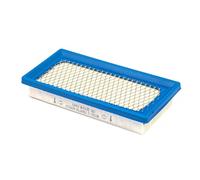 Briggs & Stratton Cartuccia Filtro dell’Aria Originale 494511S