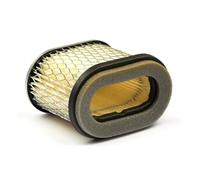 Briggs & Stratton Cartuccia Filtro dell’Aria Originale 692446